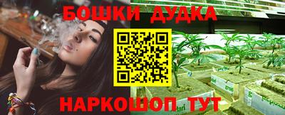 стафф Ставрополь