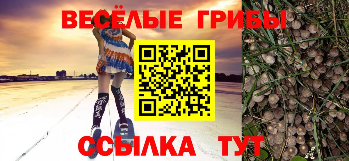 Галлюциногенные грибы прущие грибы Новосибирск