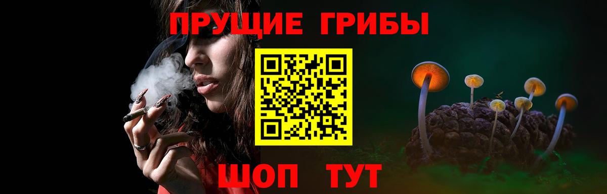 Новосибирск  Псилоцибиновые грибы MAGIC MUSHROOMS  Вход с VPN 