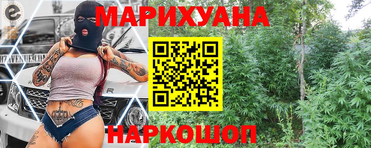 Марихуана сатива Новосибирск